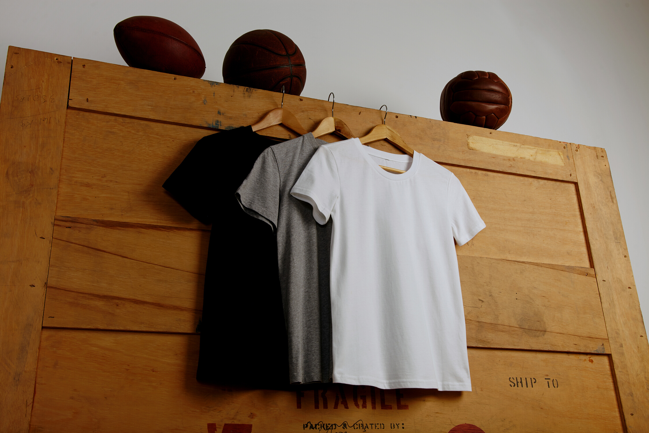 Blank t-shirts presentation